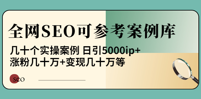 （3834期）《全网SEO可参考案例库》几十个实操案例 日引5000ip+涨粉百W+变现几十W等!