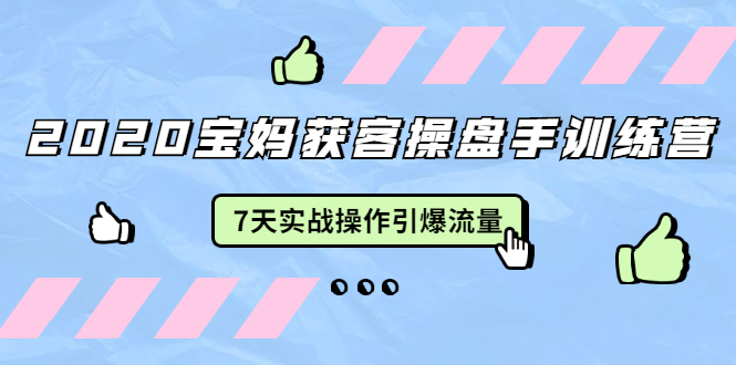 （1542期）2020宝妈获客操盘手训练营：7天实战操作引爆 母婴、都市、购物宝妈流量