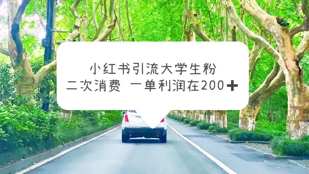 （5914期）小红书引流大学生粉，变现项目，一单利润在200+（教程+资源）