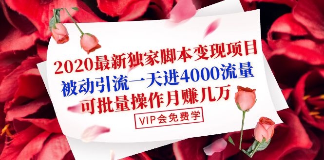 （1095期）2020最新独家脚本变现项目：被动引流一天进4000流量，可批量操作月赚几万