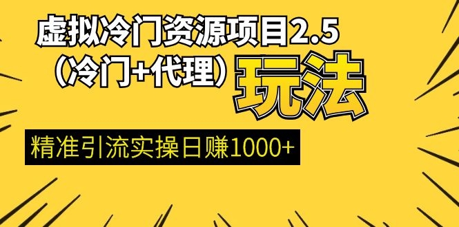 （1249期）虚拟冷门资源项目2.5（冷门&代理玩法） 精准引流实操日赚1000+(完结)