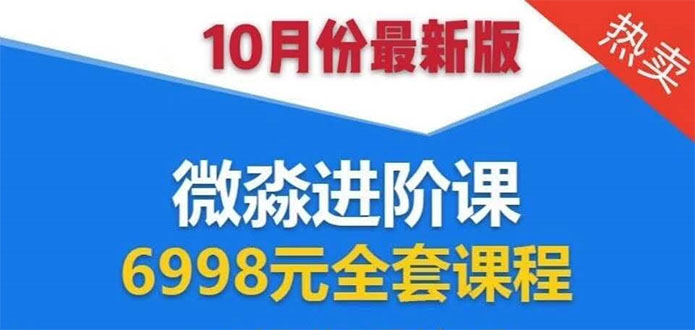 （1553期）微淼理财进阶课全套视频：助你早点实现财务自由，理论学习+案例分析+实操