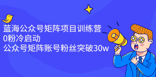 （2405期）蓝海公众号矩阵项目训练营，0粉冷启动，公众号矩阵账号粉丝突破30w