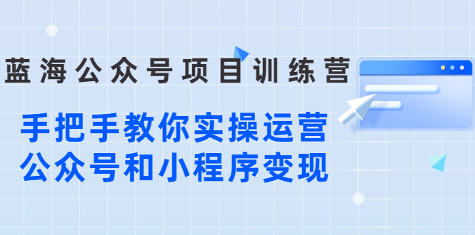 （2633期）蓝海公众号项目训练营，手把手教你实操运营公众号和小程序变现