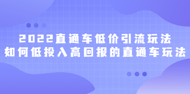 （2415期）2022直通车低价引流玩法，教大家如何低投入高回报的直通车玩法