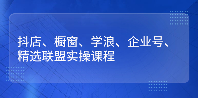 （2640期）抖店、橱窗、学浪、企业号、精选联盟实操课程