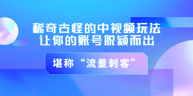 （3159期）稀奇古怪的中视频玩法，让你的账号脱颖而出，堪称“流量刺客”（图文+视频)