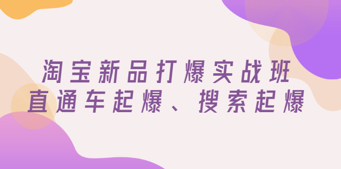 （2816期）淘宝新品打爆实战班，直通车起爆、搜索起爆（价值599元）