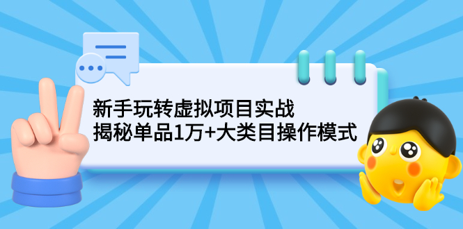 （2144期）新手玩转虚拟项目实战，揭秘单品1万+大类目操作模式【视频课程】