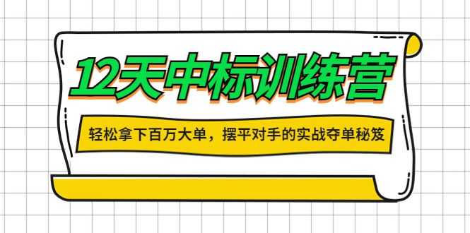 （4116期）12天中标训练营：轻松拿下百万大单，摆平对手的实战夺单秘笈！